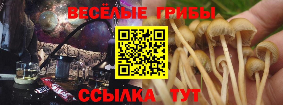 Псилоцибиновые грибы MAGIC MUSHROOMS  Вход с VPN  Кстово 